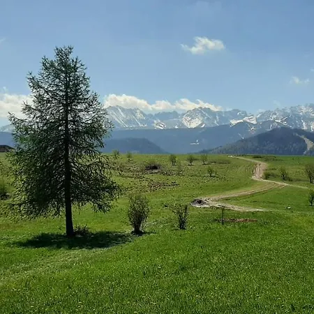 Kwatera prywatna Gościnne Przeklasa Paweł *