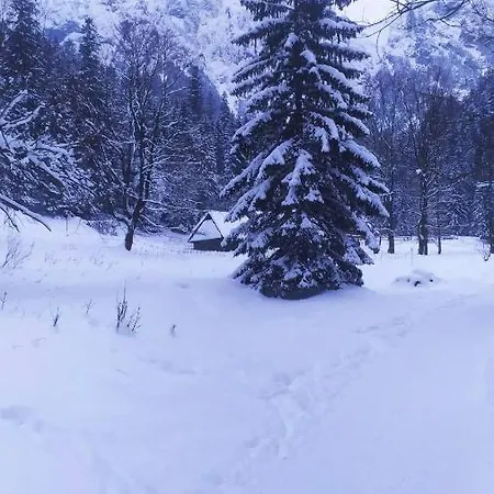 Séjour chez l'habitant Goscinne Przeklasa Pawel