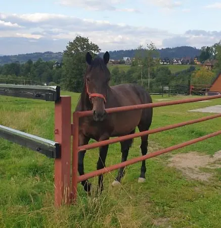 Goscinne Przeklasa Pawel Séjour chez l'habitant *